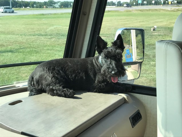 File Aug 15, 7 47 05 PM