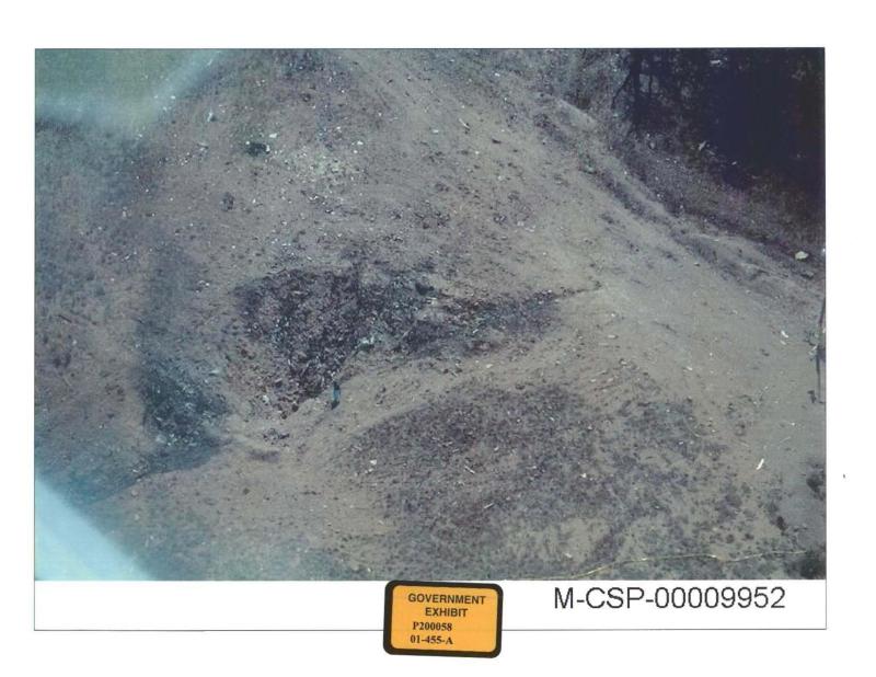 C7A5F819-155D-451F-6727AF151DF7D841-large