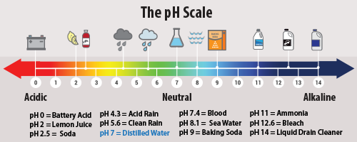 pH Scale