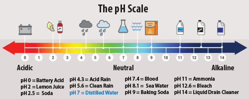 pH Scale